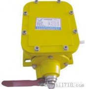 JHSL-A、JHSL-B縱向撕裂保護開關(guān)廠家直銷